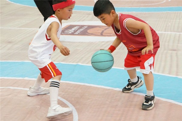 青少年篮球爱好者综合训练方案_0